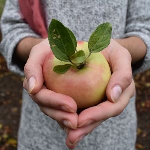 Meet your Posher, Stacy